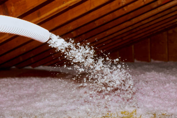 Insulation Replacement Services in Cottageville, SC