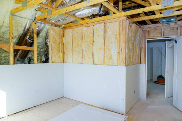 Best Professional Insulation Contractor  in Cottageville, SC