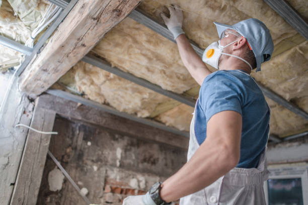 Best Insulation Repair Services  in Cottageville, SC