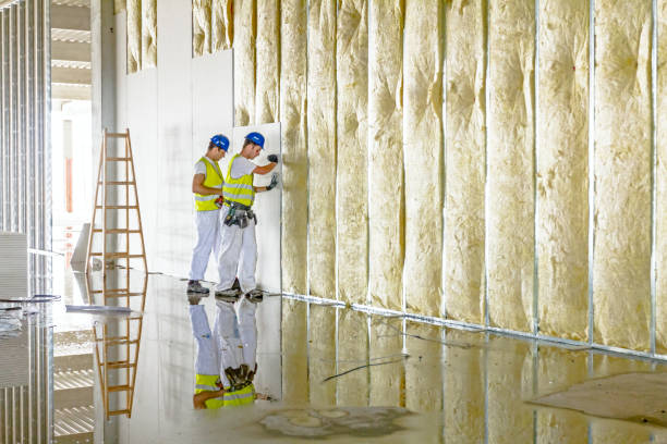 Best Energy-efficient Insulation  in Cottageville, SC
